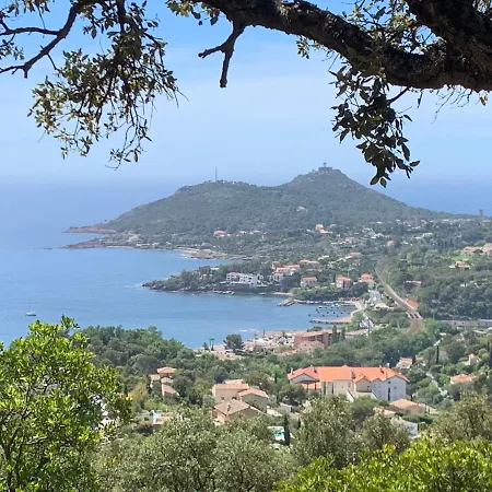Villa Agay Reves De Rive